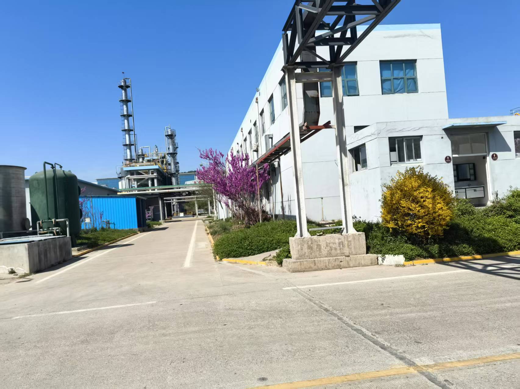 公司廠(chǎng)區(qū)春天美景